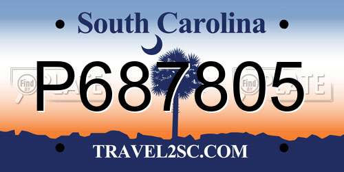P687805 South Carolina License Plate