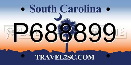 P688899 South Carolina License Plate