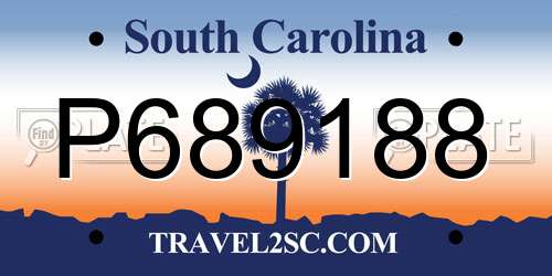 P689188 South Carolina License Plate