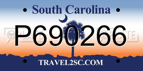 P690266 South Carolina License Plate