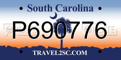 P690776 South Carolina License Plate