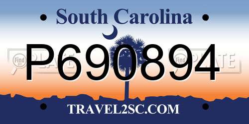 P690894 South Carolina License Plate