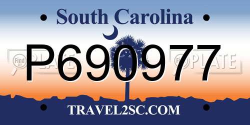 P690977 South Carolina License Plate