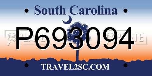 P693094 South Carolina License Plate