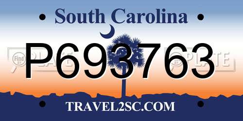 P693763 South Carolina License Plate