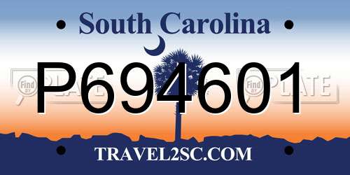 P694601 South Carolina License Plate