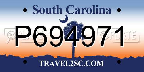 P694971 South Carolina License Plate