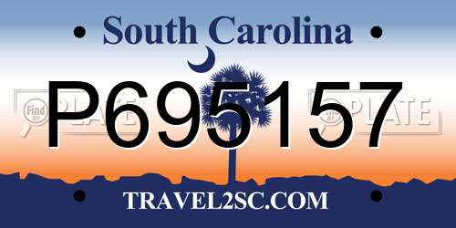 P695157 South Carolina License Plate
