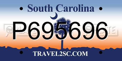 P695696 South Carolina License Plate