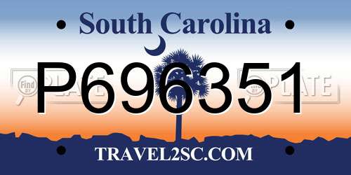 P696351 South Carolina License Plate
