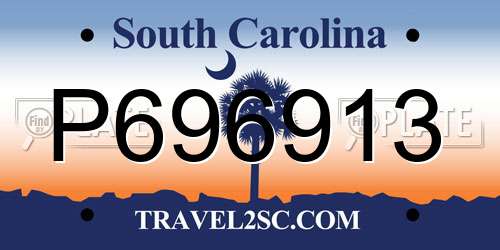 P696913 South Carolina License Plate