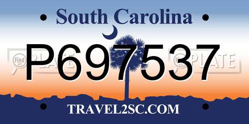 P697537 South Carolina License Plate