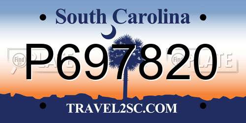 P697820 South Carolina License Plate