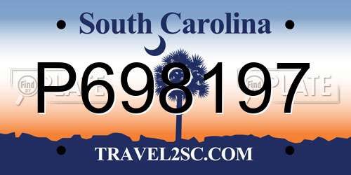 P698197 South Carolina License Plate