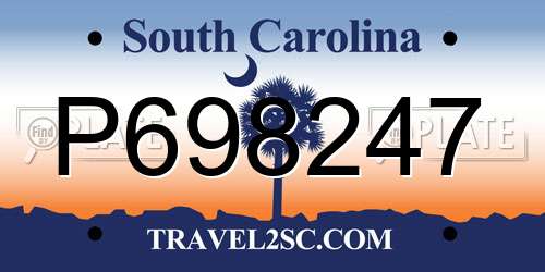 P698247 South Carolina License Plate