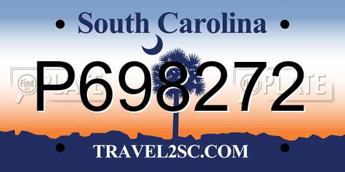 P698272 South Carolina License Plate
