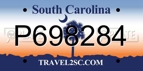 P698284 South Carolina License Plate
