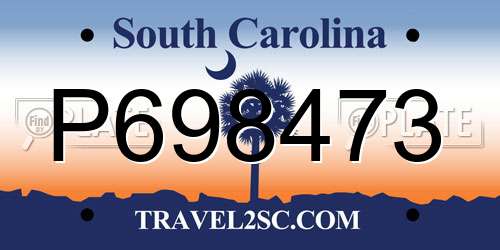 P698473 South Carolina License Plate