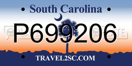 P699206 South Carolina License Plate