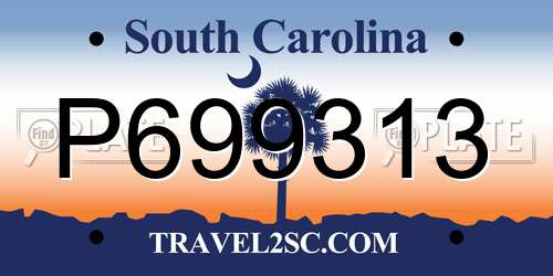 P699313 South Carolina License Plate