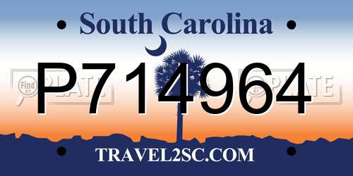 P714964 South Carolina License Plate