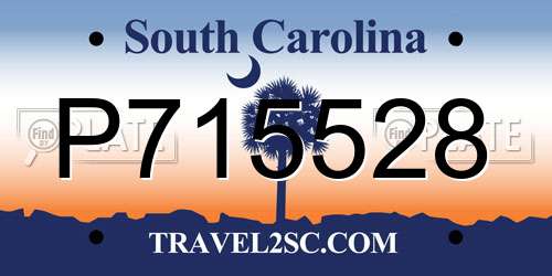 P715528 South Carolina License Plate