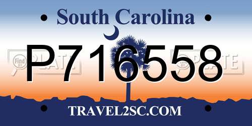 P716558 South Carolina License Plate