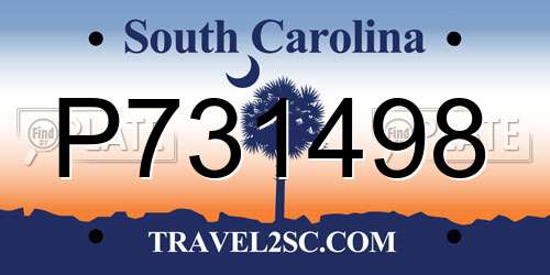 P731498 South Carolina License Plate