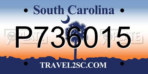 P736015 South Carolina License Plate