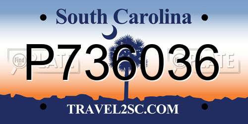 P736036 South Carolina License Plate
