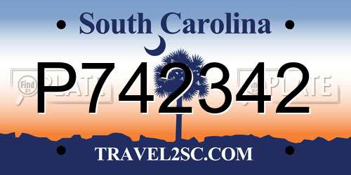 P742342 South Carolina License Plate