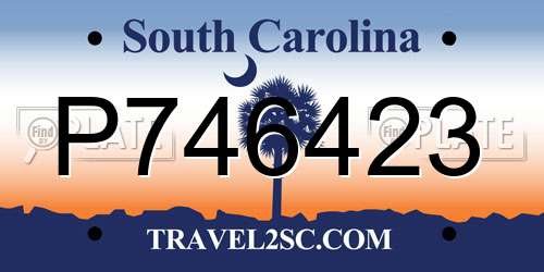 P746423 South Carolina License Plate