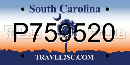 P759520 South Carolina License Plate