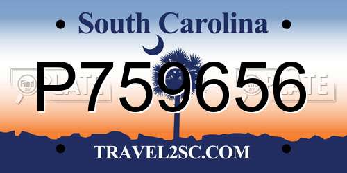P759656 South Carolina License Plate