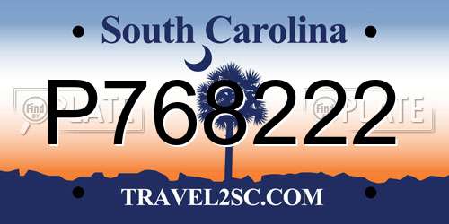 P768222 South Carolina License Plate