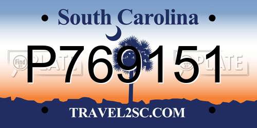 P769151 South Carolina License Plate