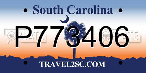 P773406 South Carolina License Plate