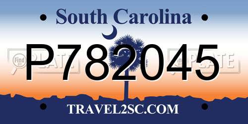 P782045 South Carolina License Plate
