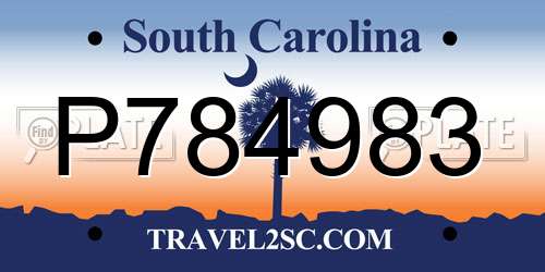 P784983 South Carolina License Plate