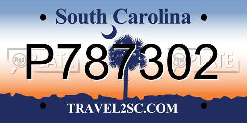 P787302 South Carolina License Plate