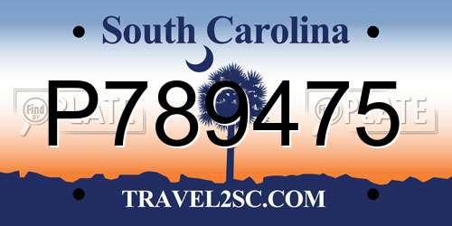 P789475 South Carolina License Plate
