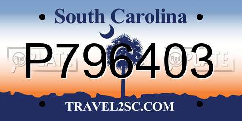 P796403 South Carolina License Plate