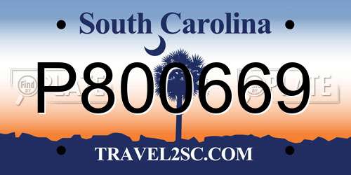 P800669 South Carolina License Plate
