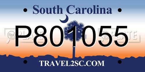 P801055 South Carolina License Plate