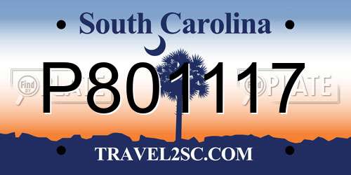 P801117 South Carolina License Plate