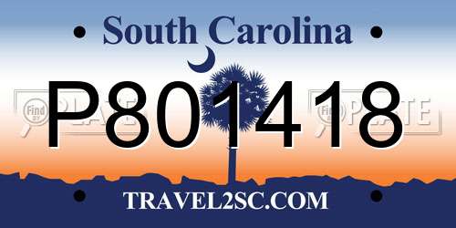 P801418 South Carolina License Plate