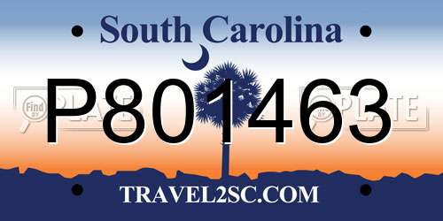 P801463 South Carolina License Plate