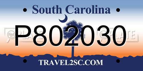 P802030 South Carolina License Plate