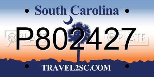 P802427 South Carolina License Plate