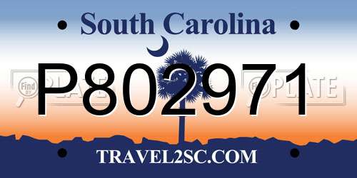 P802971 South Carolina License Plate